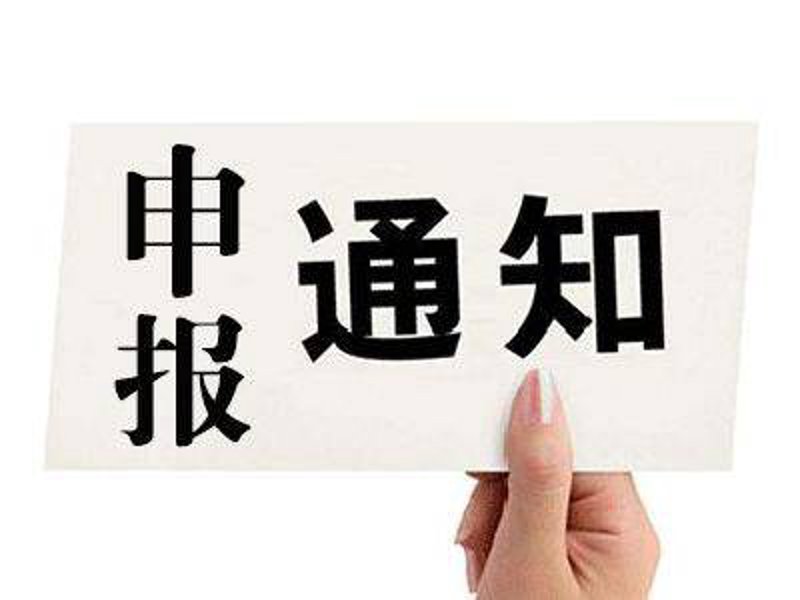 项目申报动态洞察:让每一笔资金都用在刀刃上